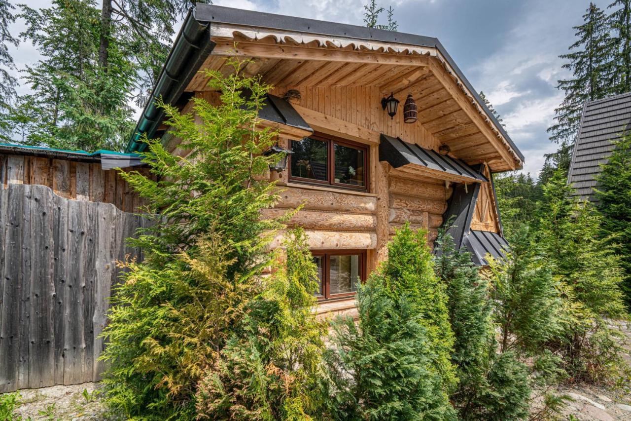 Sywor Holiday home Koscielisko